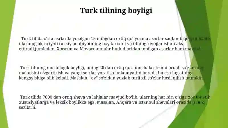 At-tuhfatuz zakiyati fil lugʻati Turkiya 3