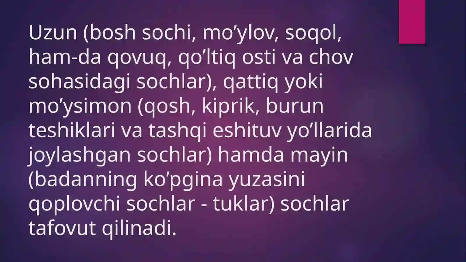 Sochlar 3