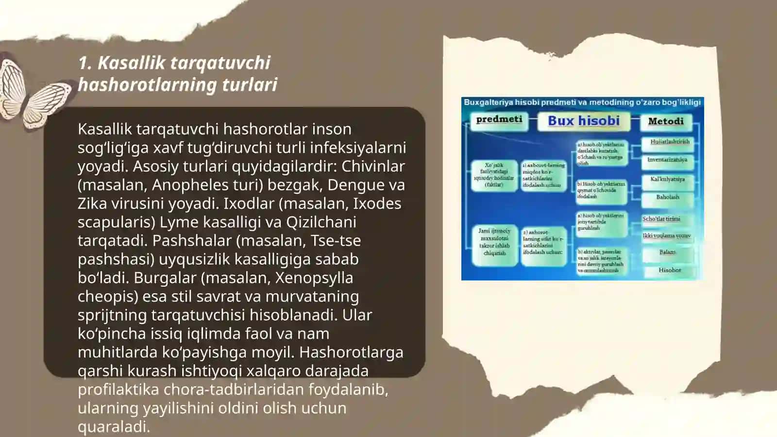Biologiya yo'nalishi 3