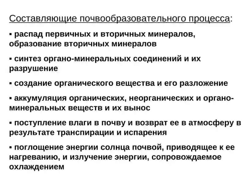 ФАКТОРЫ ПОЧВООБРАЗОВАНИЯ 3