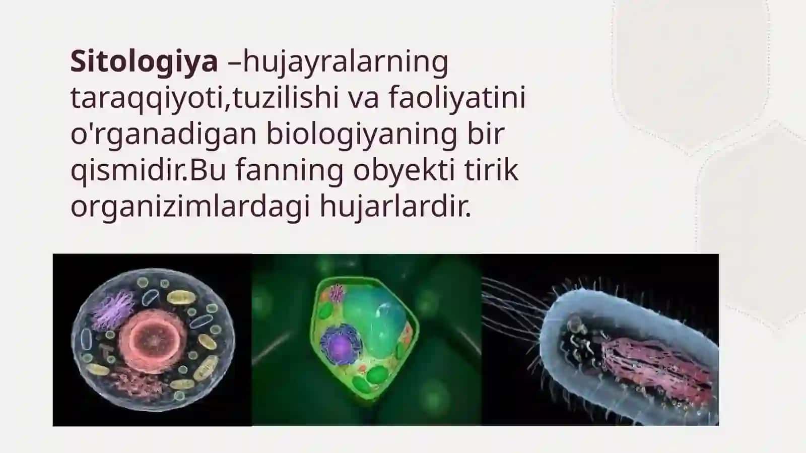 Sitologiyaga Faniga Kirish 3