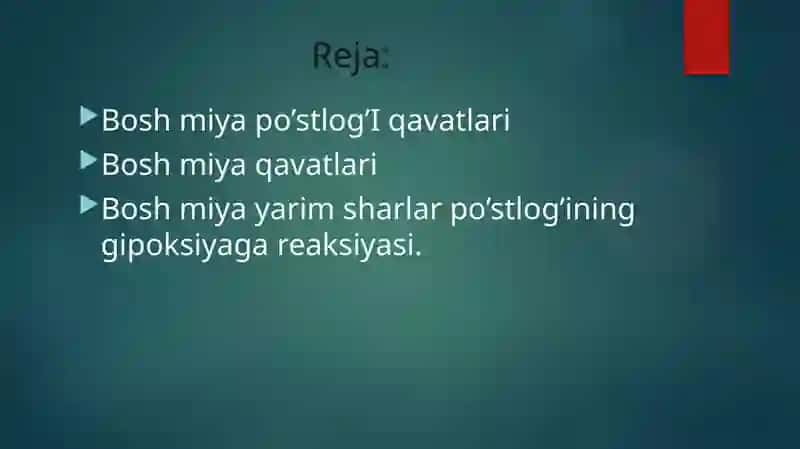 bosh miya yarimsharlar ppstlogʻida hujayralararo bogʻlanishlar 3