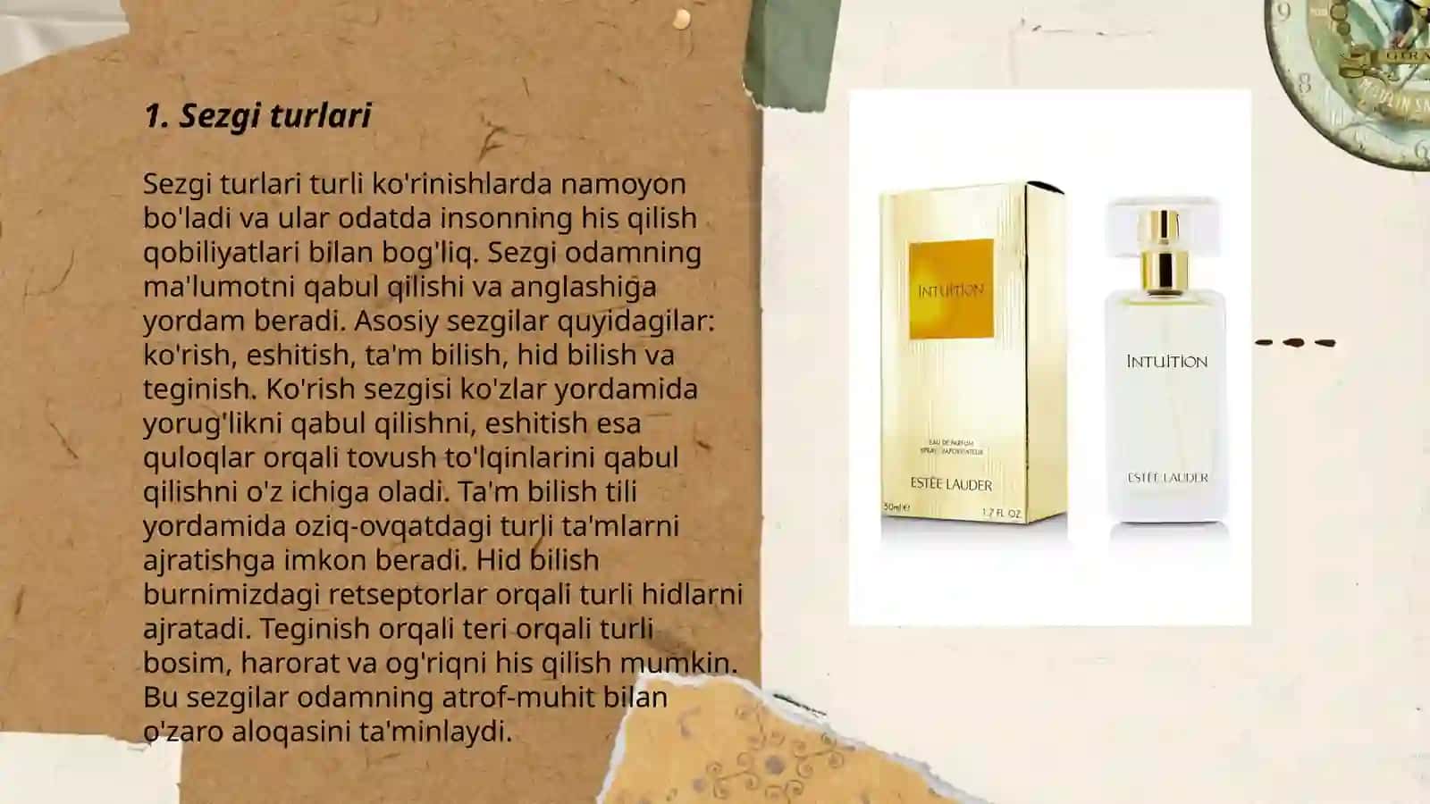 Sezgi 3