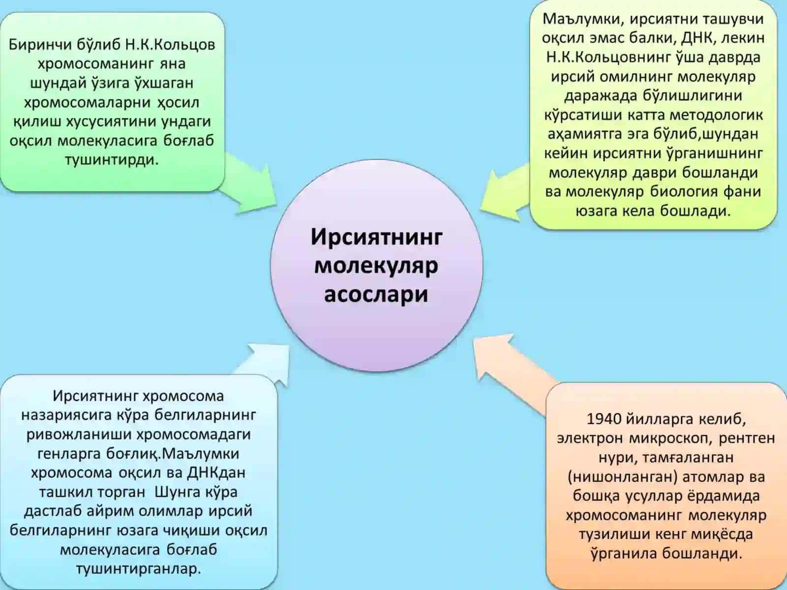 Молекуляр генетика 3