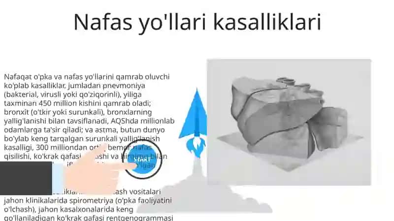 Organizim nafas olish organlari sistemasi 3
