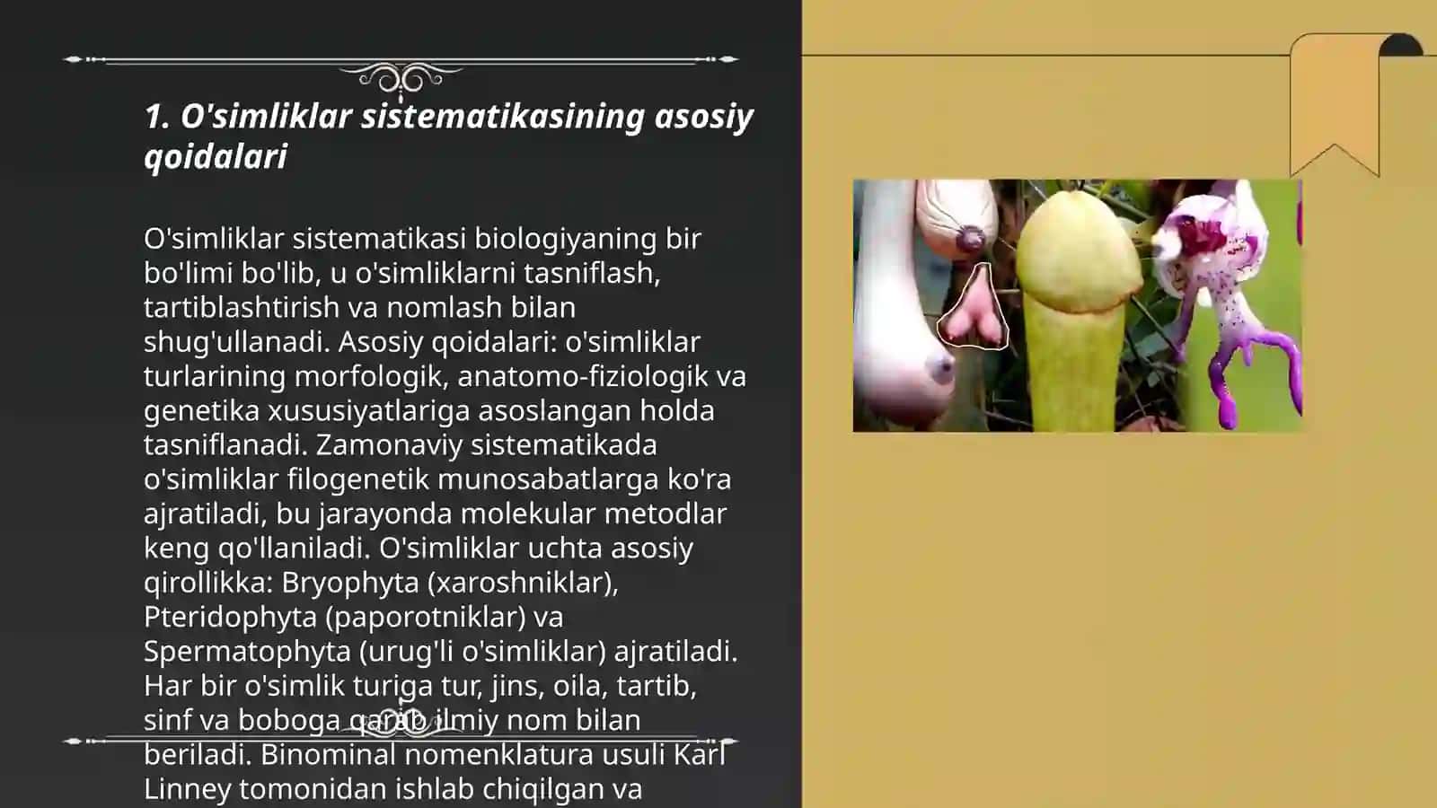 O'simliklar ekologiyasi 3