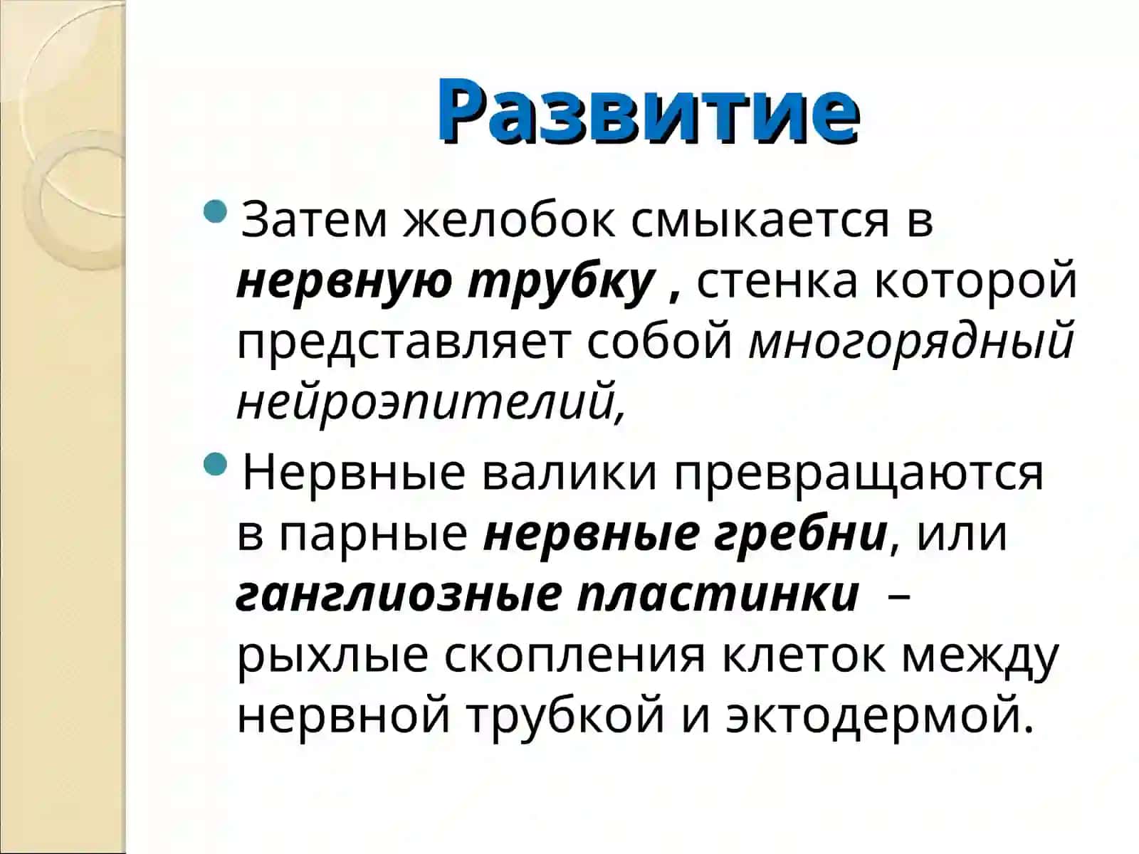 Нервная ткань 3
