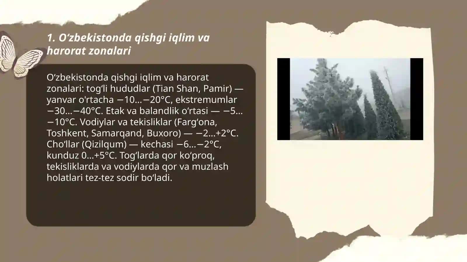 Oʻzbekistonda qishgi iqlim va harorat zonalari 3