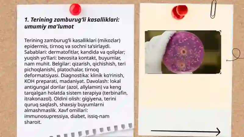 Terining zamburugʻli kasalliklari 3