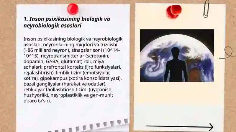 Inson psixikasi 3