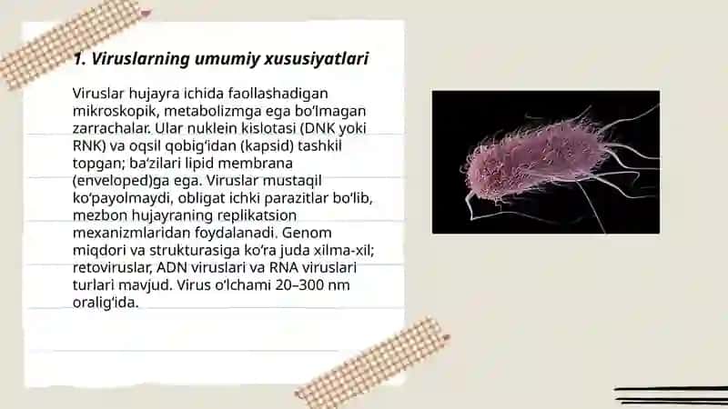 Umumiy Virusalogiya bakteriya va vuruslar 3
