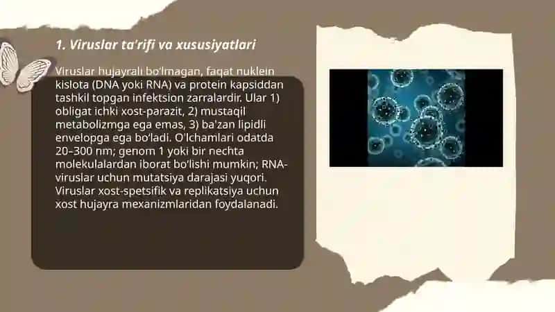 Viruslar haqida tushuncha 3