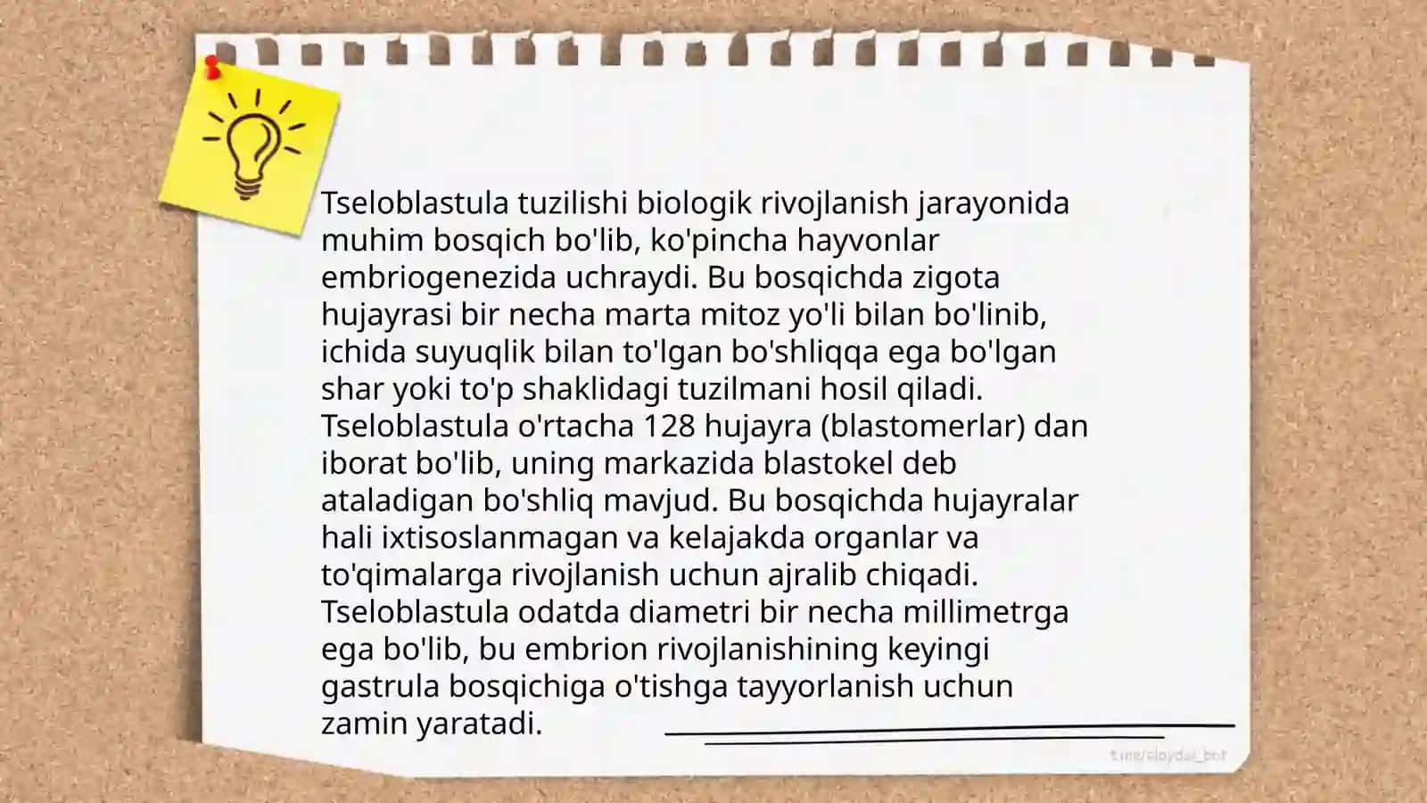 Tseloblastula tuzilishi 3