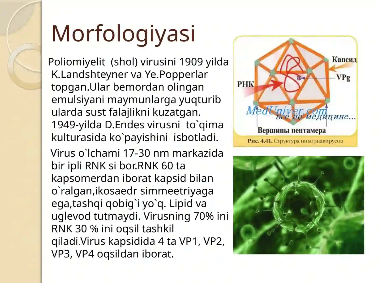 POLIOMIYELIT VIRUSI 3