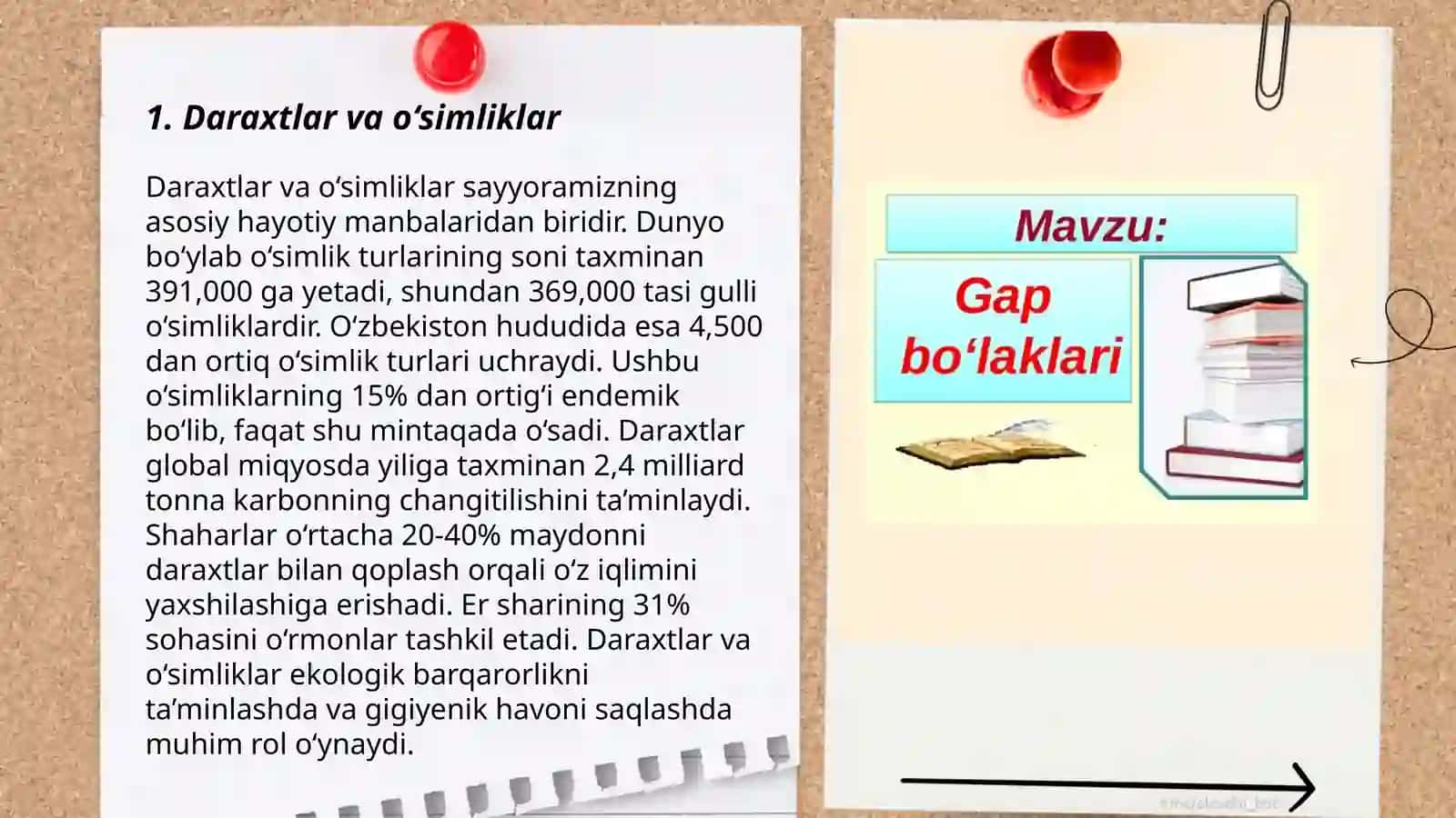 Daraxtlar va o‘simliklar 3