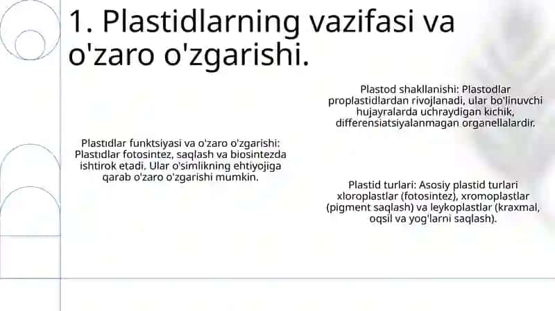 Plastidalar tuzishi va tiplari 3