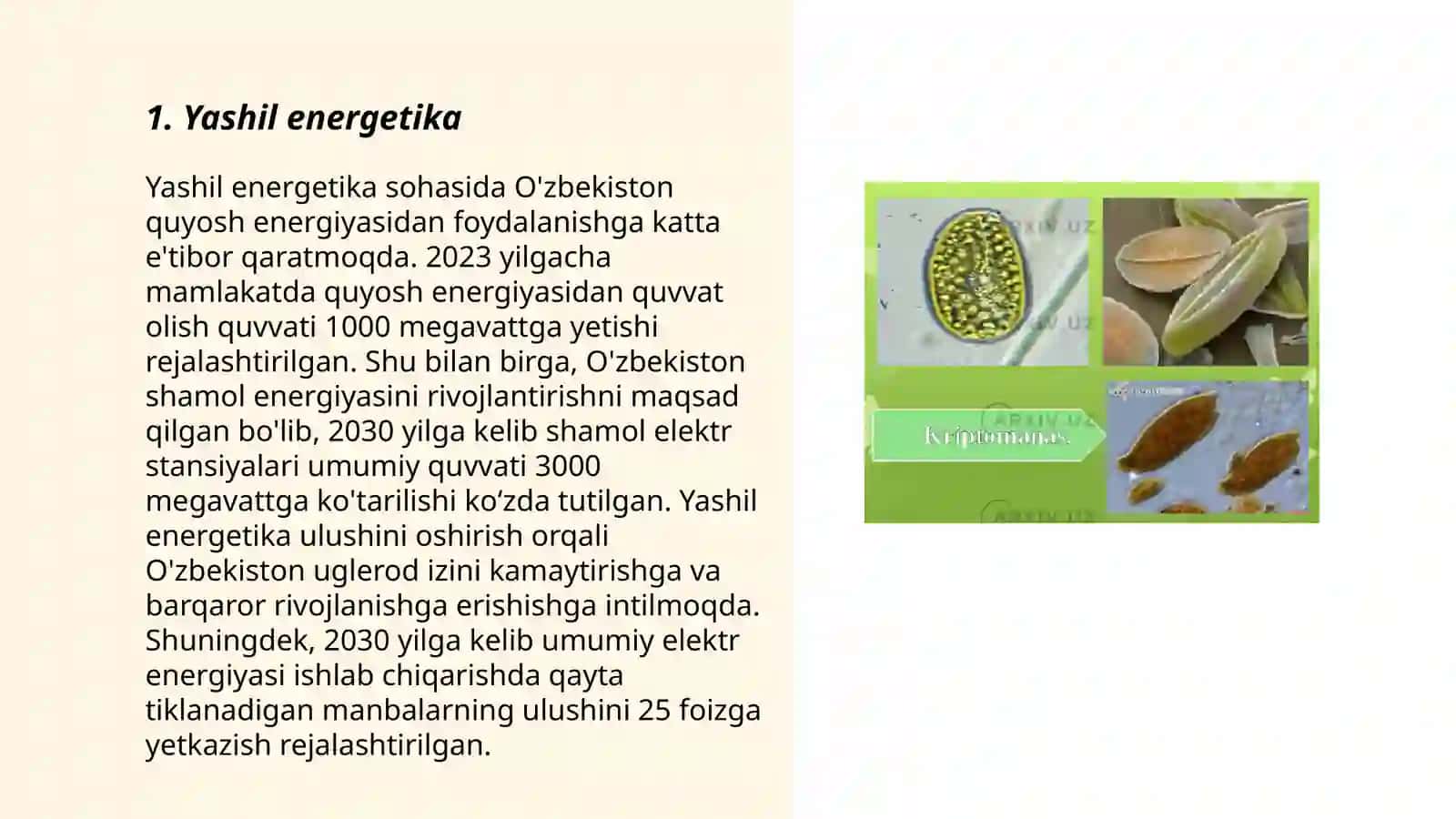 Yashil suvo‘tlar 3