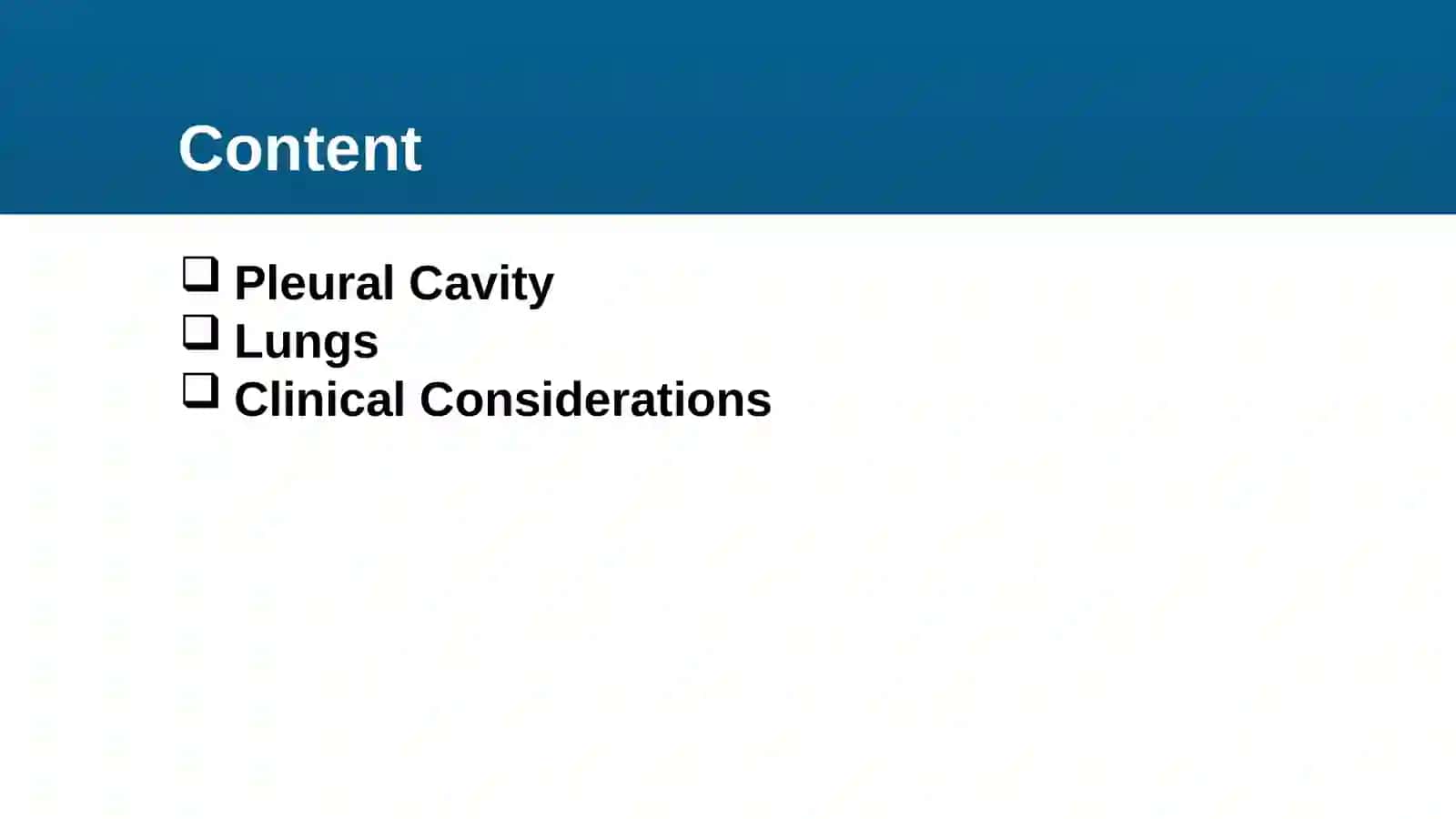 Pleura and Peural Cavity, Lungs 3