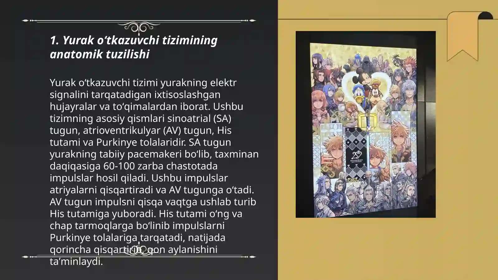 Yurakning oʻtkazuvchi tizimi 3