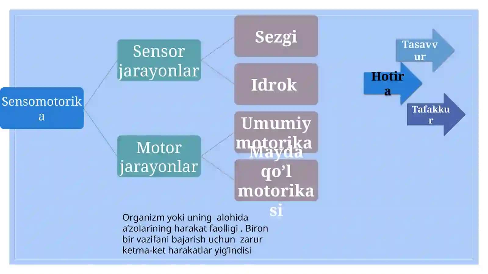 Sensorika-koordinatsiya-interaksiya 3