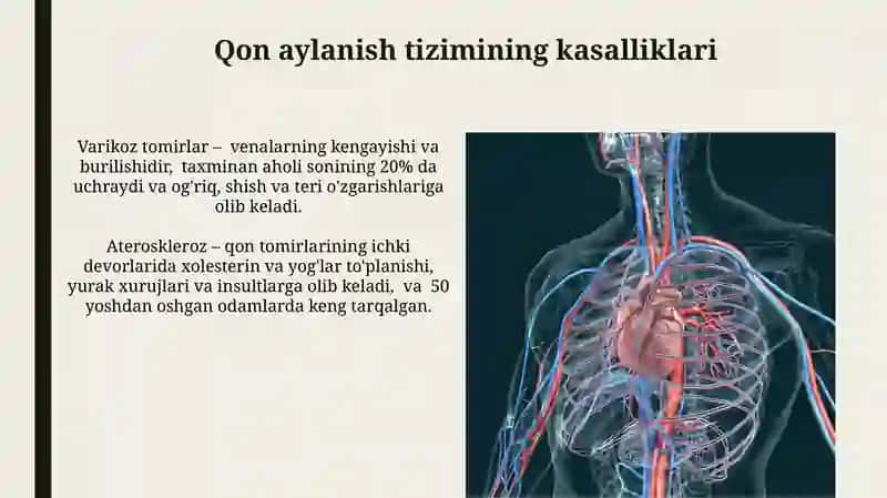Qan aylaniw sistemasi 3