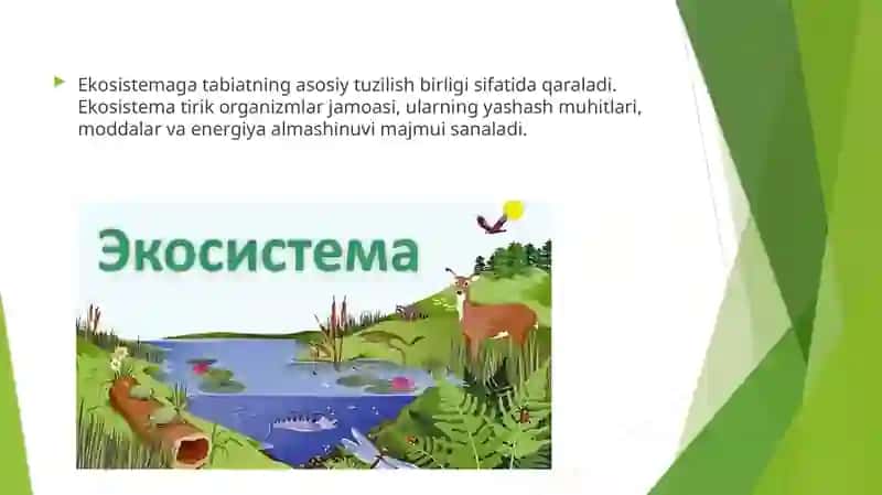 Ekosistema trofik strukturasi 3