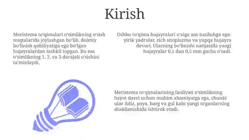 Meristema to'qimasining tuzilishi 3