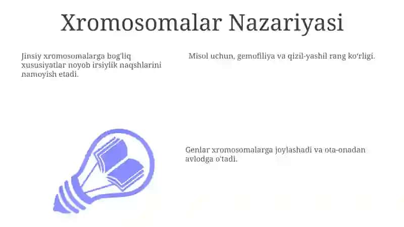 Xromosomalar Nazariyasi 3