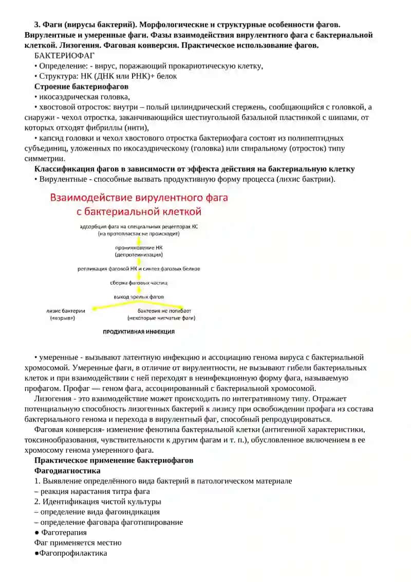 Частная вирусология 3