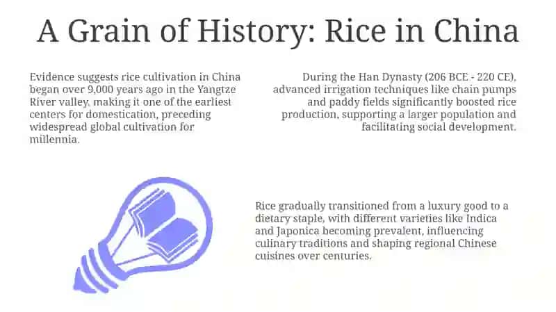 Rice in China 3