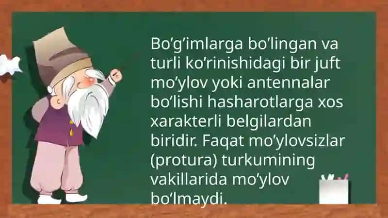 HASHAROTLAR BOSHBO'LIMINING TUZILISHI 3