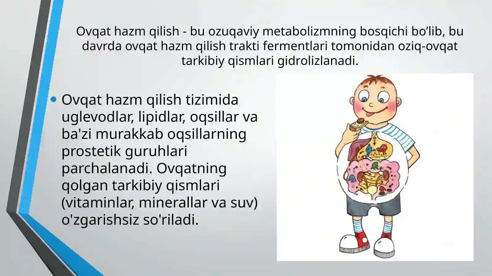Ovqathazmqilishbiokimyosi 3