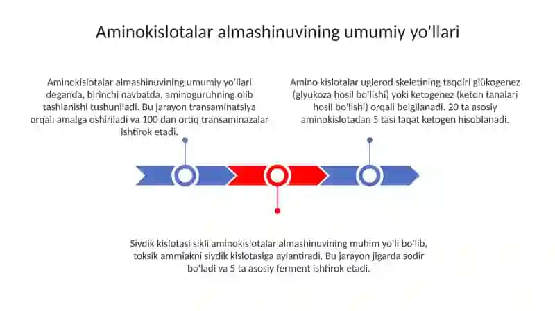 Aminokislota metabolizmi 3