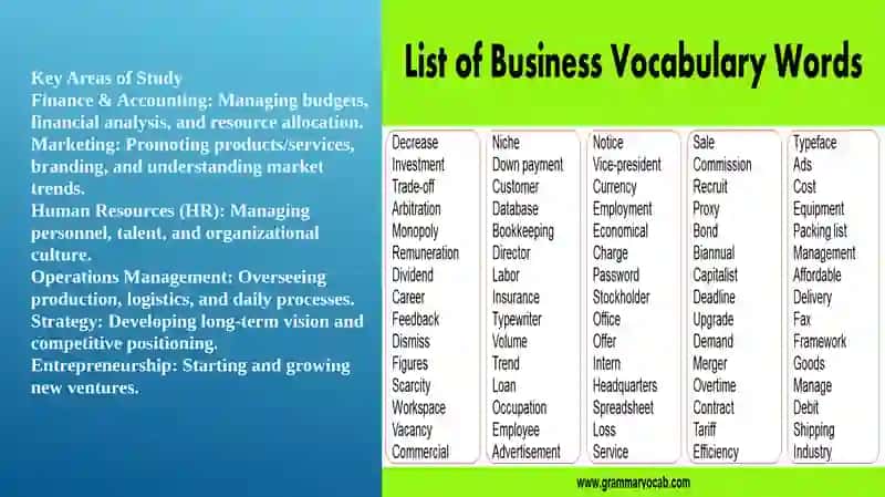 Business and Management 3