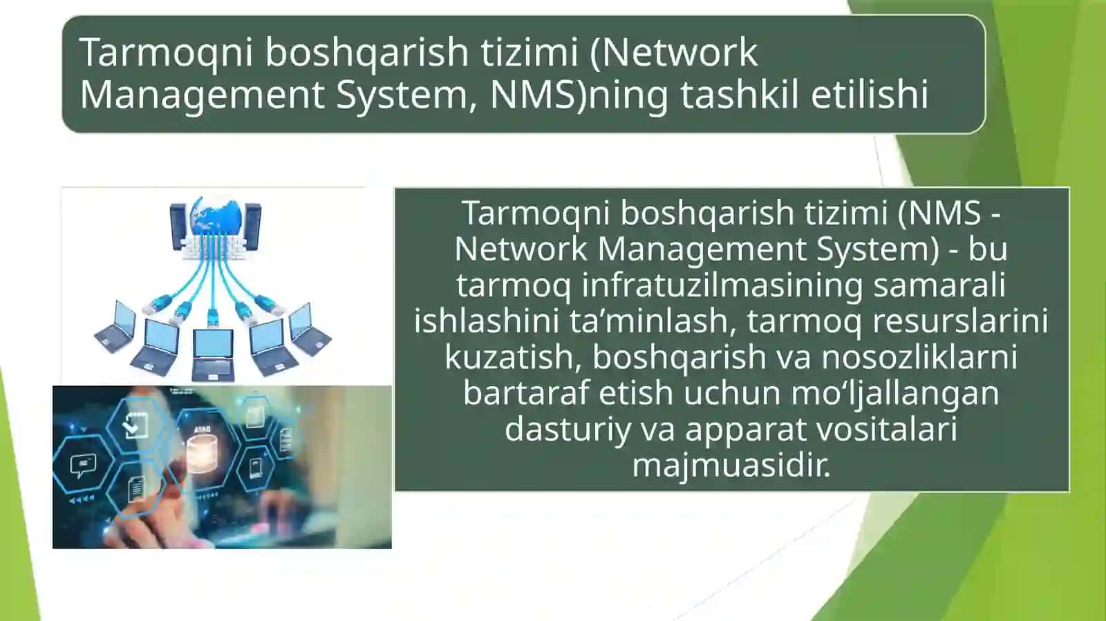 Toshkent 2025 3
