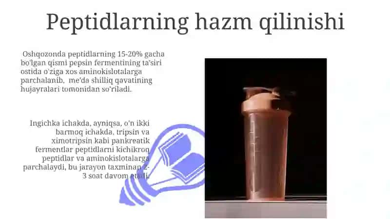 Oqsillarning hazmlanishi va soʻrilishi 3