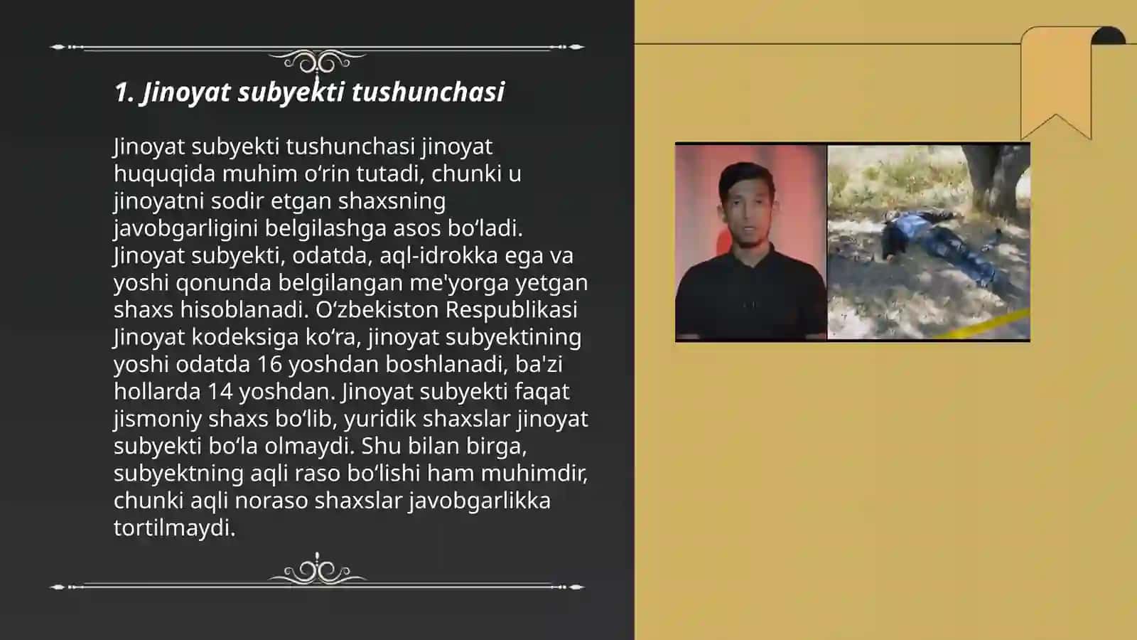 Jinoyat subyekti 3