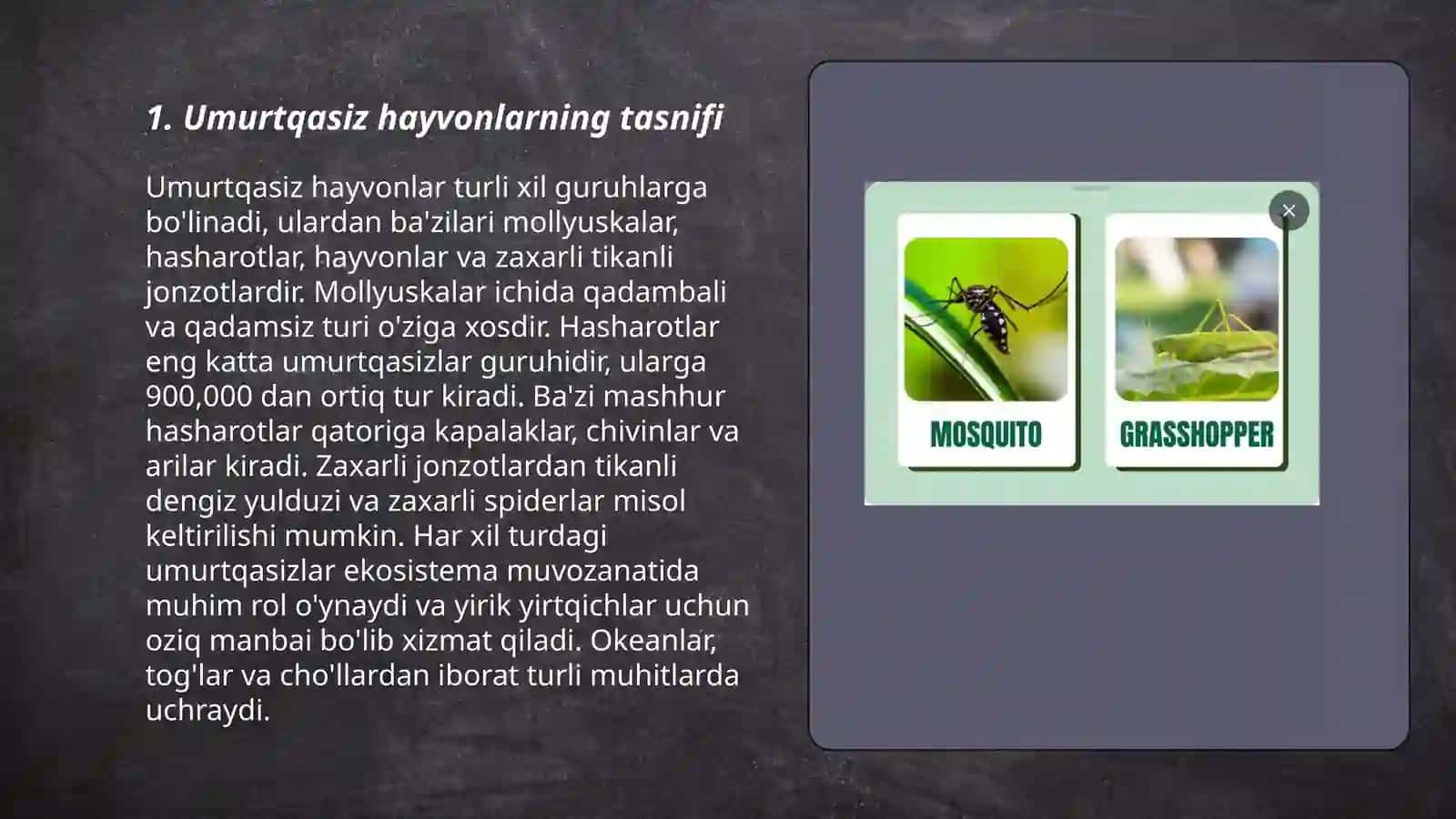 Umurtqasiz hayvonlar 3