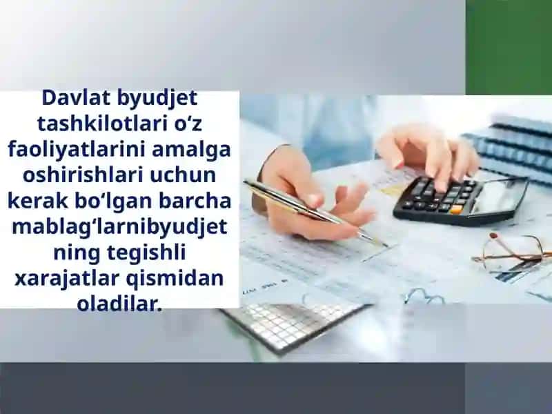 Davlat Byudjeti Tuzilishi 3