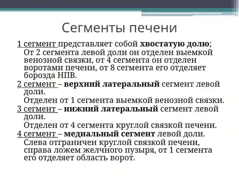 Ультразвуковая диагностика заболеваний печени 3