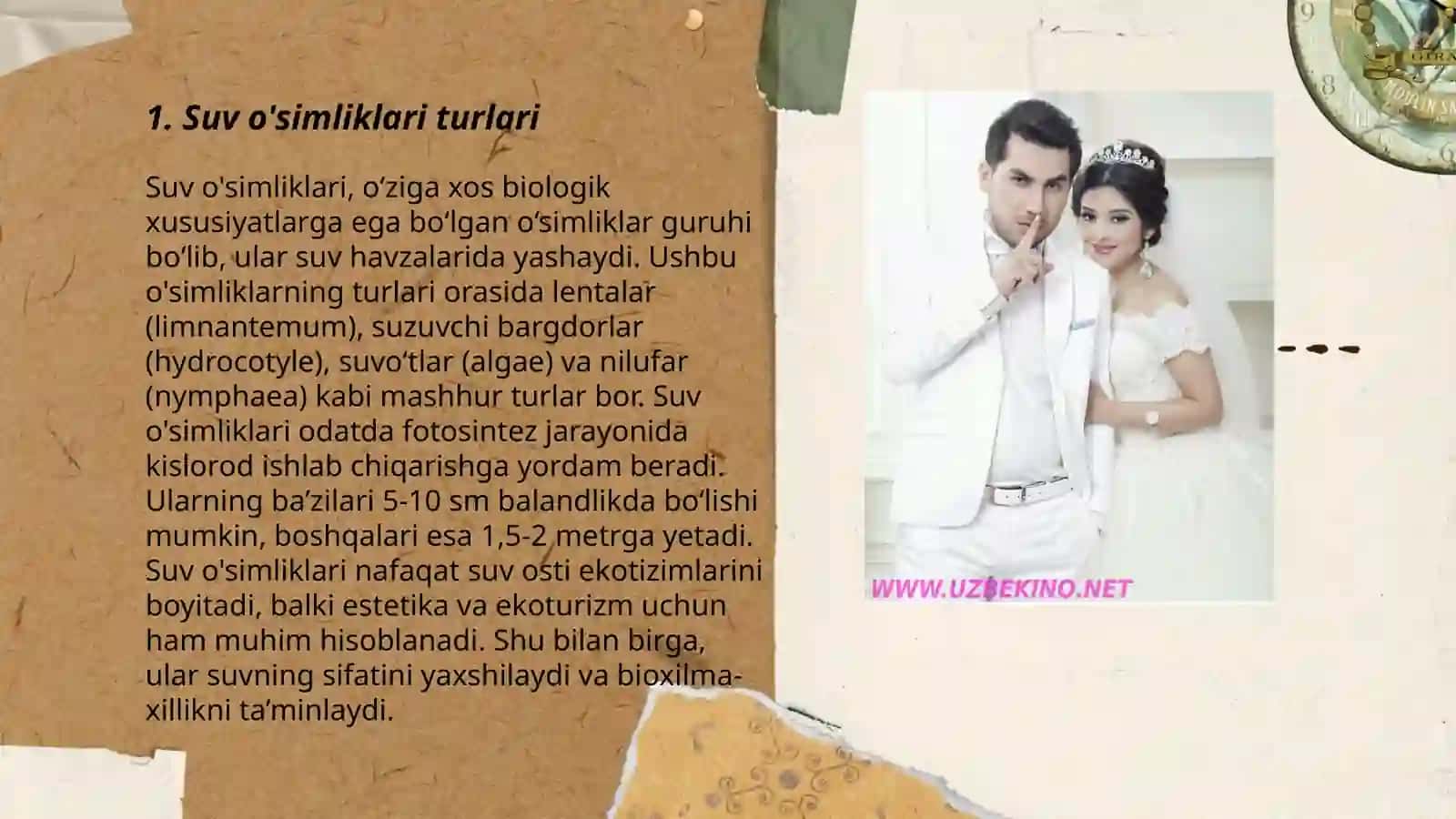 Suv o'simliklari 3