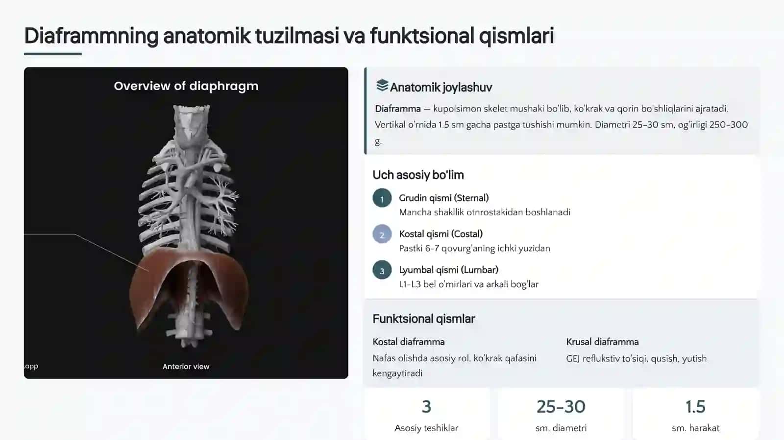 FIZIOLOGIYA 3