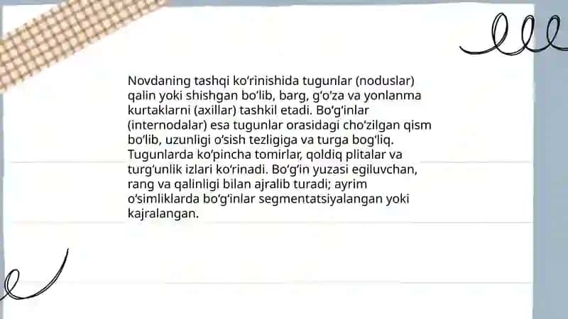 Novda 3
