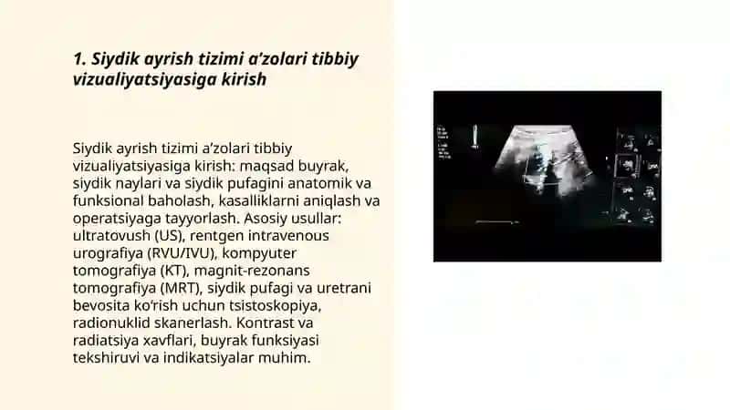 Siydik ayrish tizimi a’zolari tibbiy vizualiyatsiyasi 3