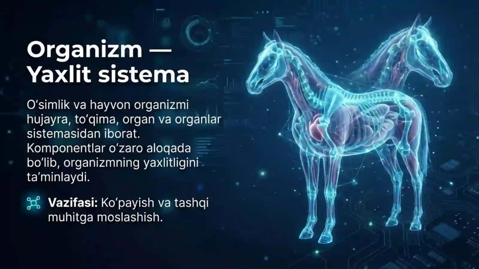 Hayotning tuzulish darajalarini modellashtirish 3