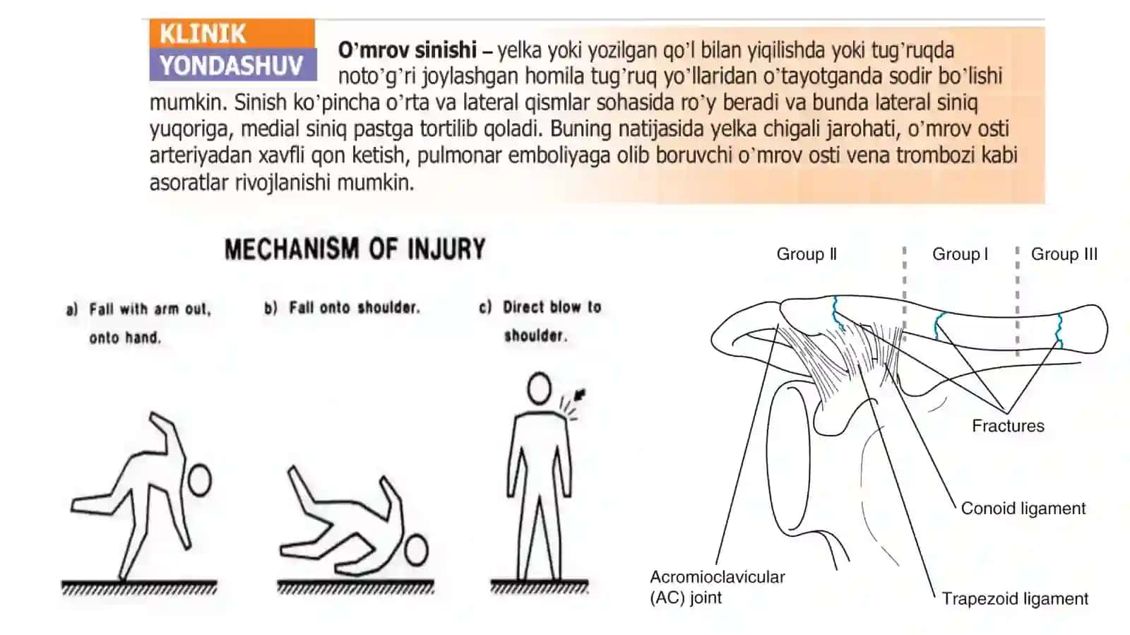 QO’LNING SUYAK VA BO’G’IMLARI 3