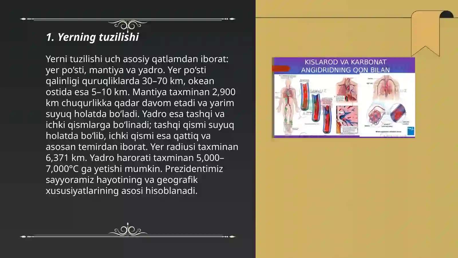 nafas a 'zolarning tuzilishi 3