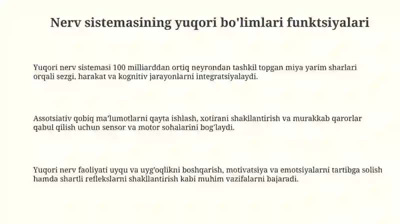 Nerv tizimi oliy bo’limlarining vazifalari 3