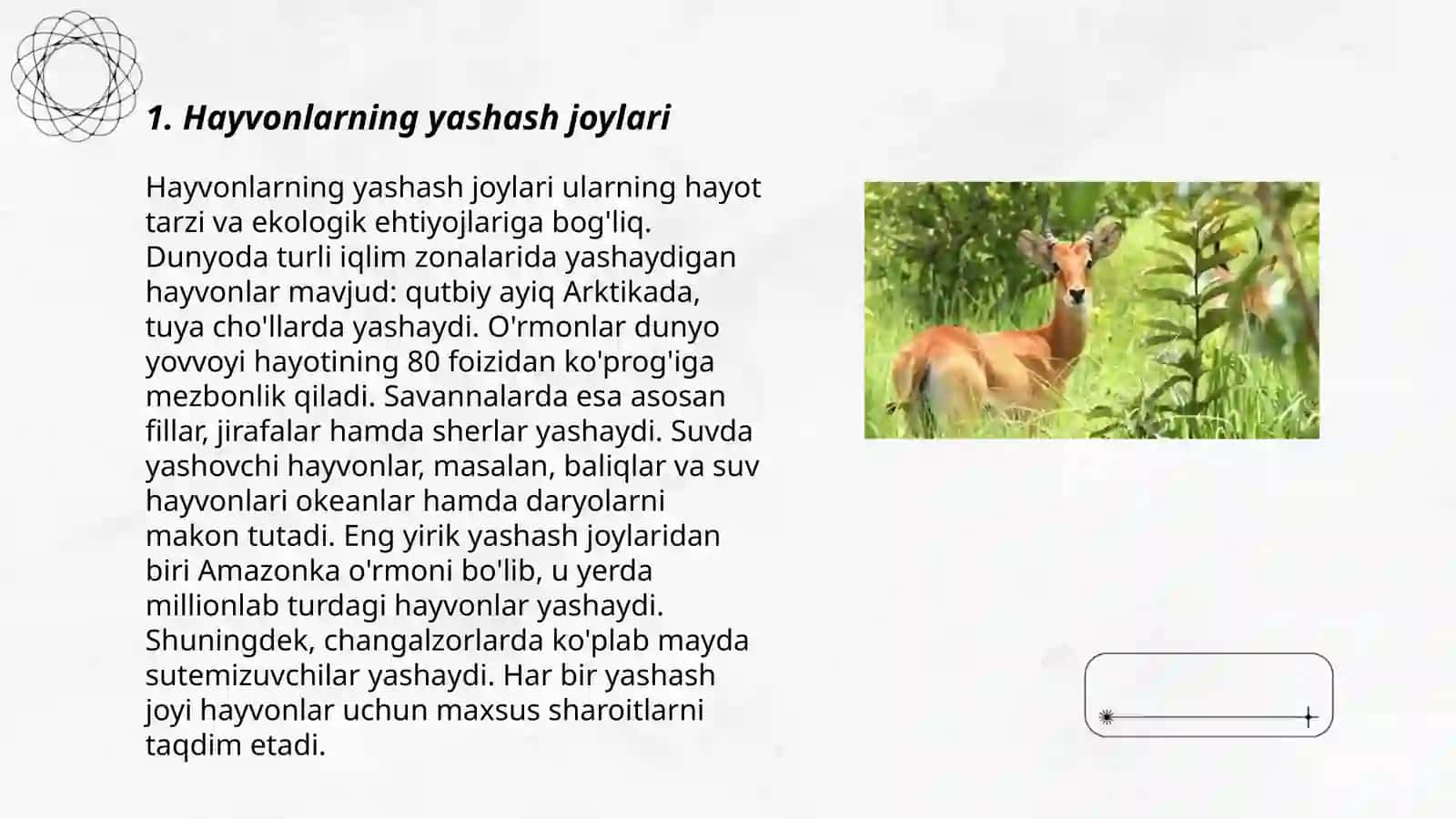 Hayvonot olami 3