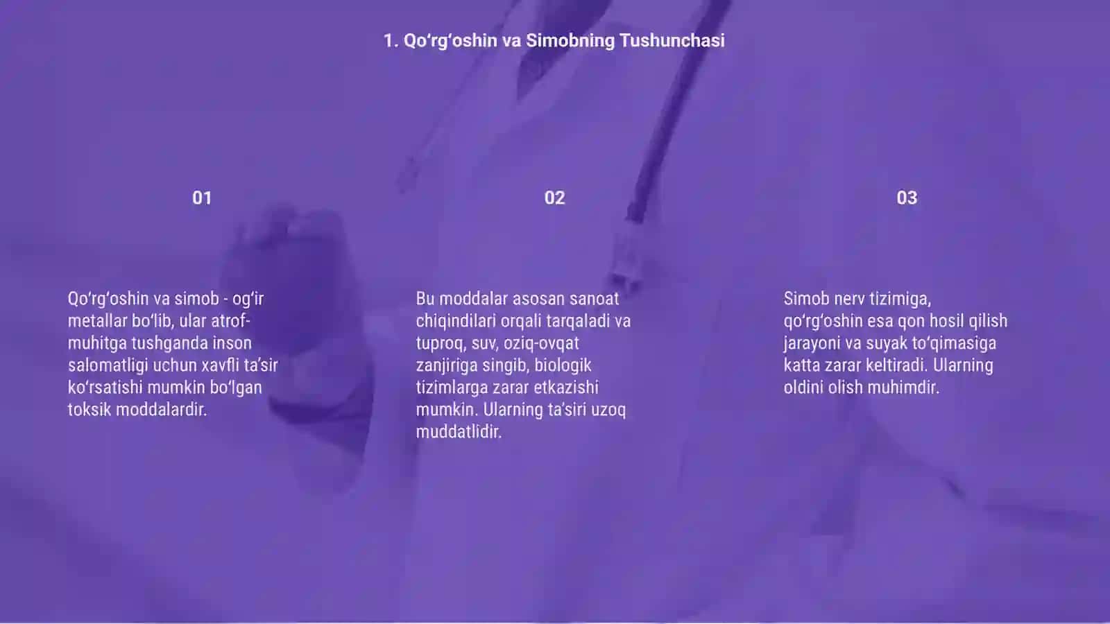 Qo‘rg‘oshin va Simob bilan Zaharlanish 3